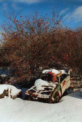 Junked Car in Torbrook